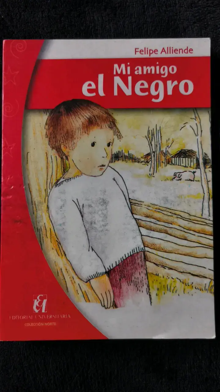 Libro 'Mi amigo el Negro' de Felipe Alliende - 1