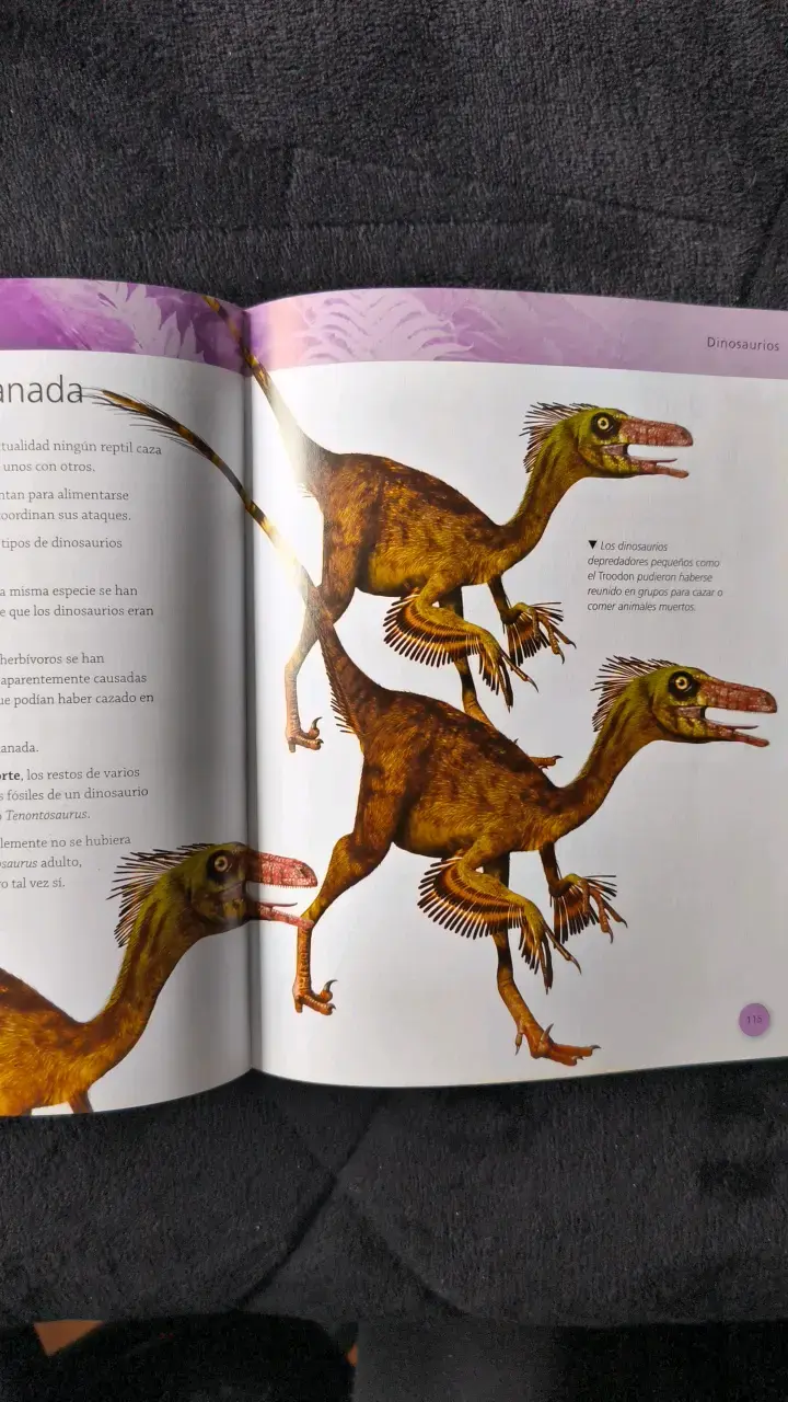 Enciclopedia de los Dinosaurios y Vida Prehistórica - 2