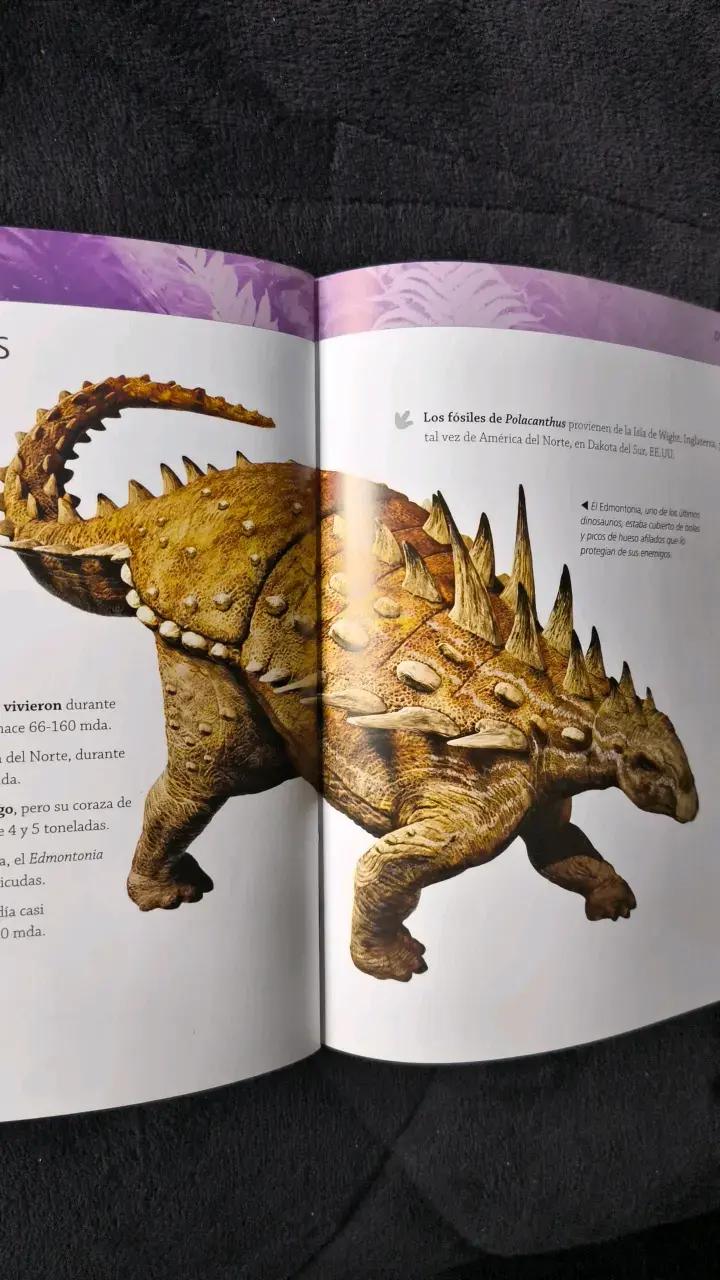 Enciclopedia de los Dinosaurios y Vida Prehistórica - 3