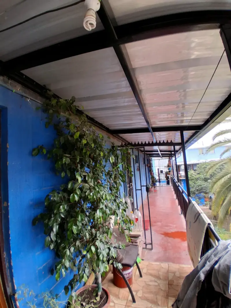 Plantas - 2
