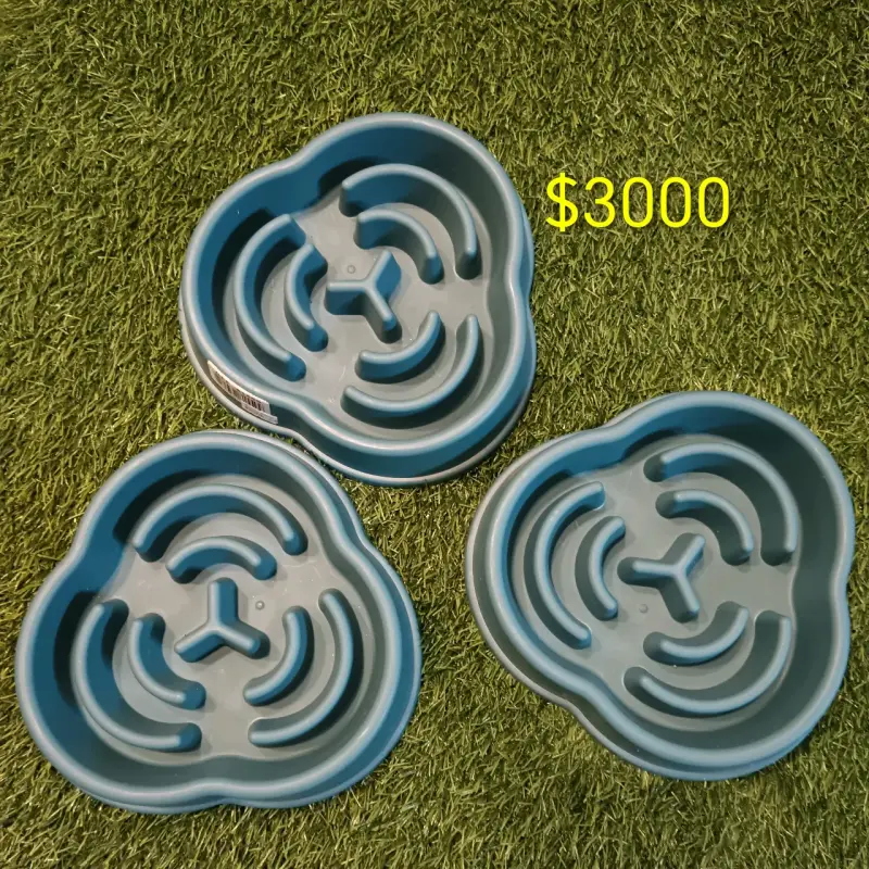 Platos interactivos para mascotas color azul - 1
