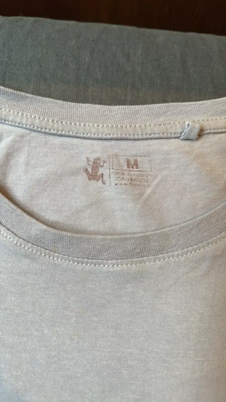 Polera gris Froens de algodón con - 3