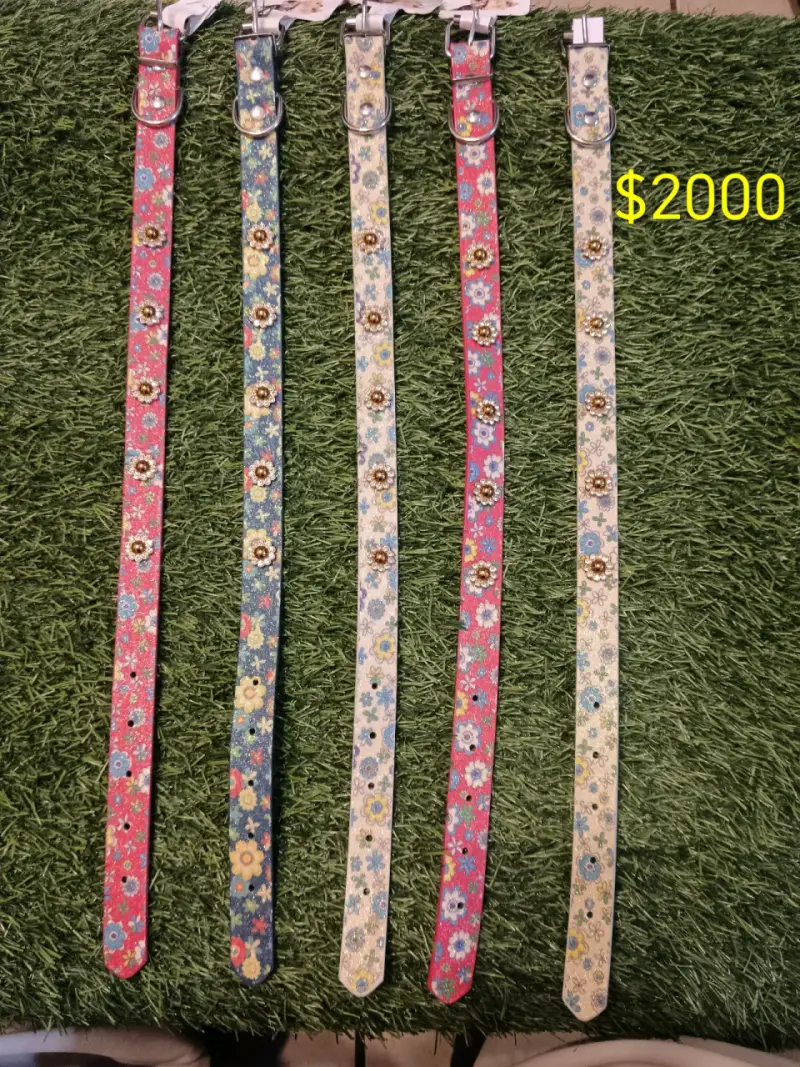 Collares para mascotas con diseño floral - 1