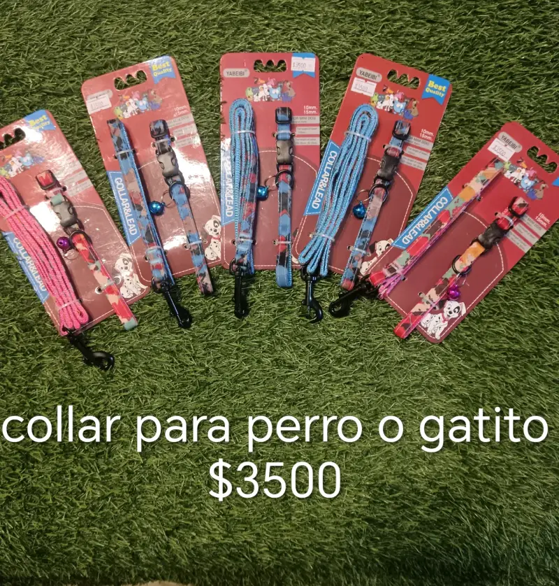 Collar y correa para mascotas - 1