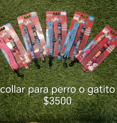 Collar y correa para mascotas - miniatura 1