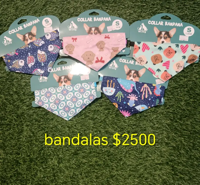 Collar y correa para mascotas - 2
