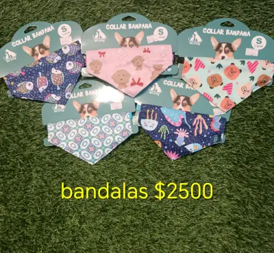 Collar y correa para mascotas - miniatura 2
