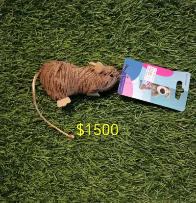 Collar y correa para mascotas - miniatura 4