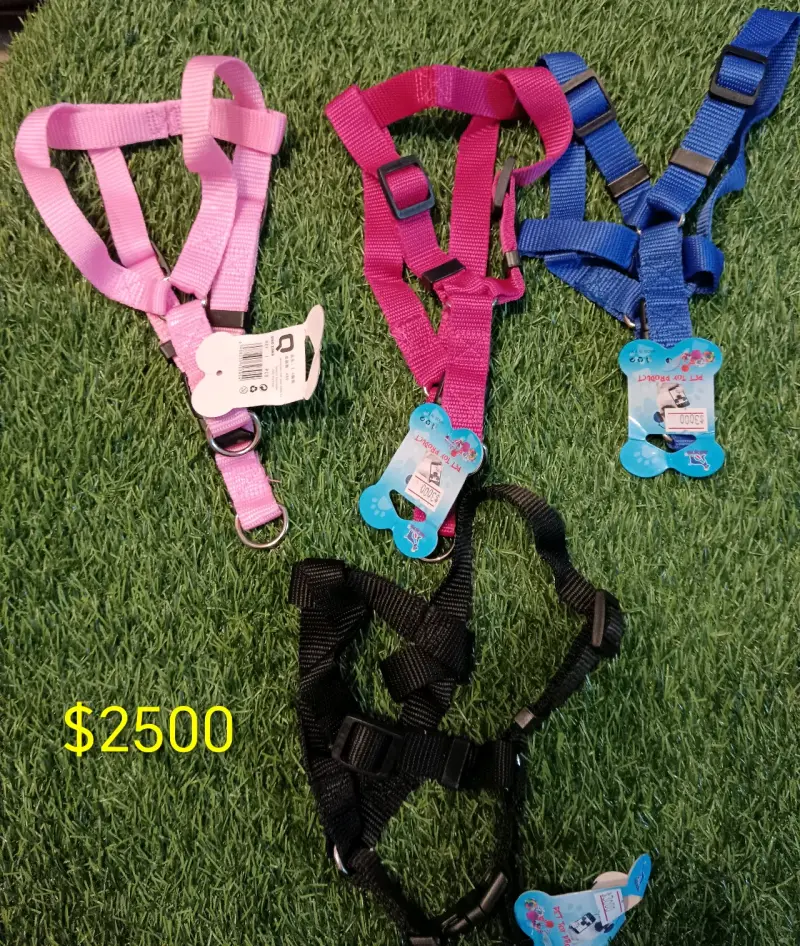 Collar y correa para mascotas - 6