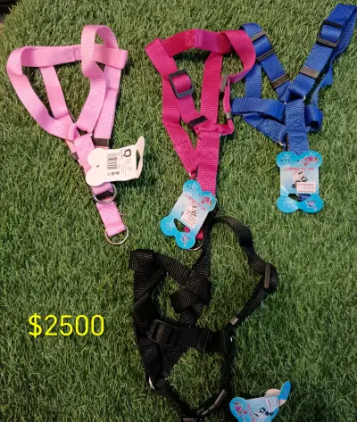 Collar y correa para mascotas - miniatura 6
