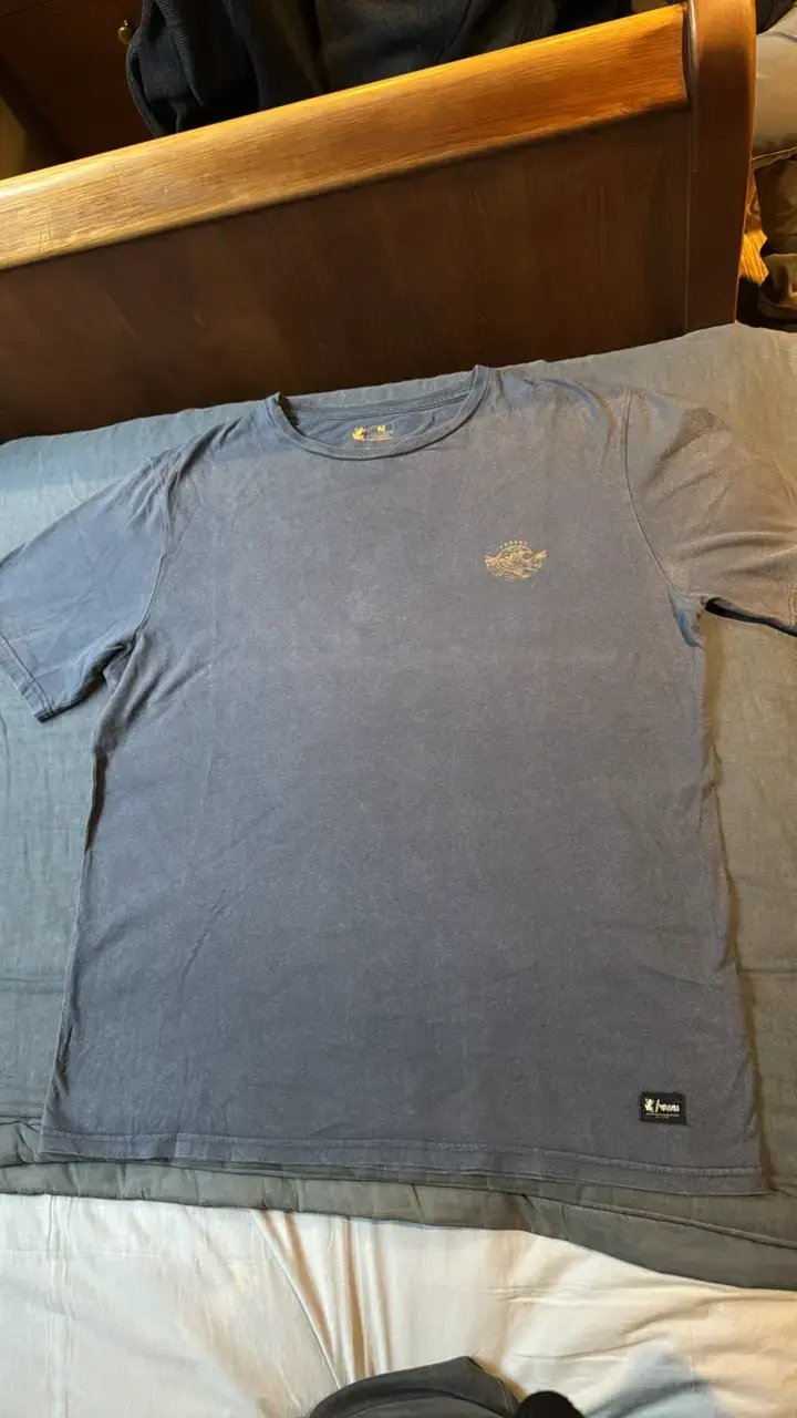 Polera azul con diseño Froens - 2