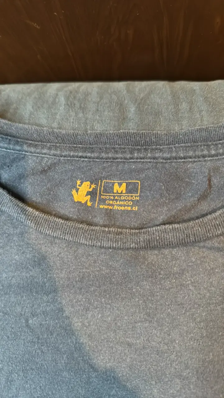 Polera azul con diseño Froens - 3