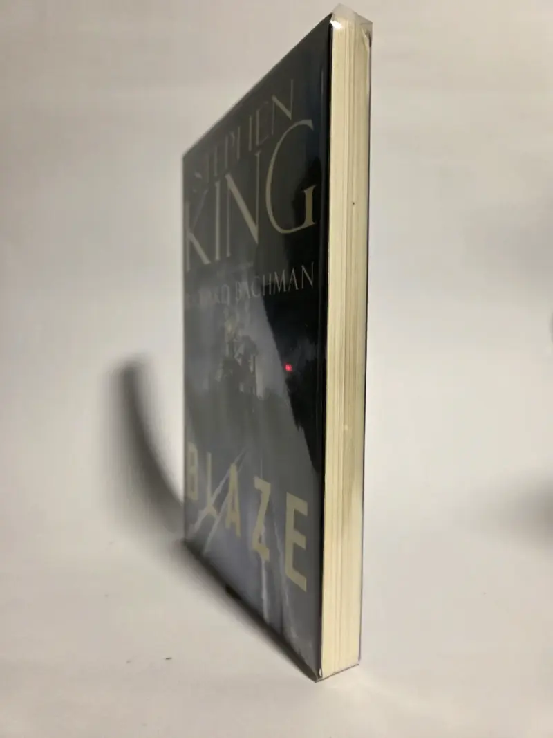 Stephen King - Blaze - 6