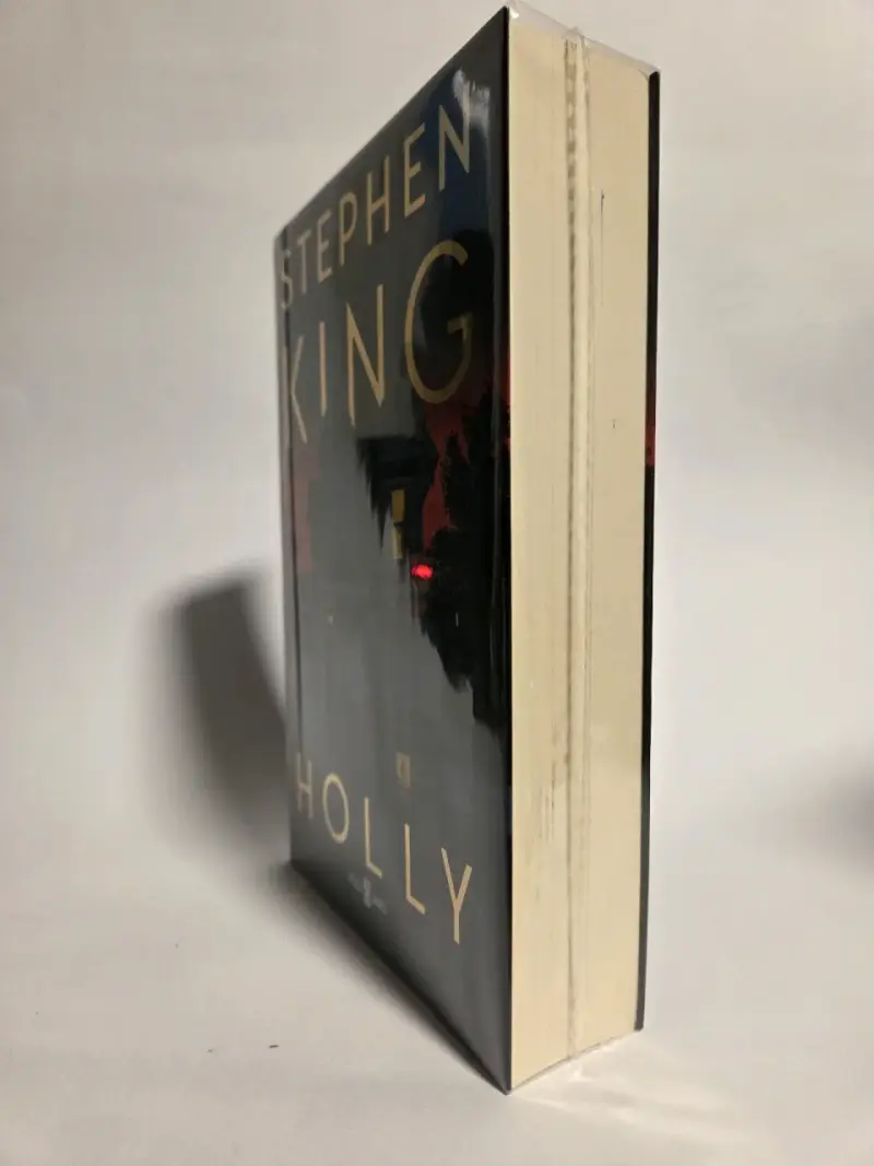 Libro 'Holly' de Stephen King - 6