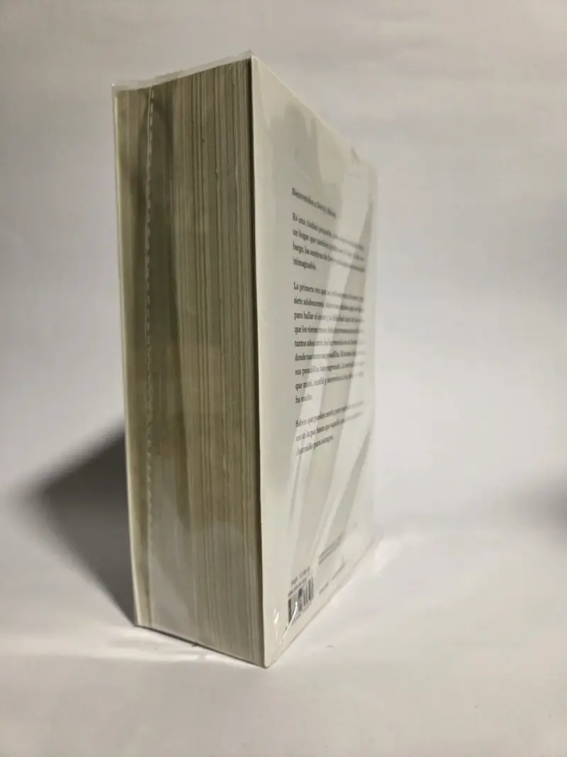 Libro 'It' de Stephen King en español - 5