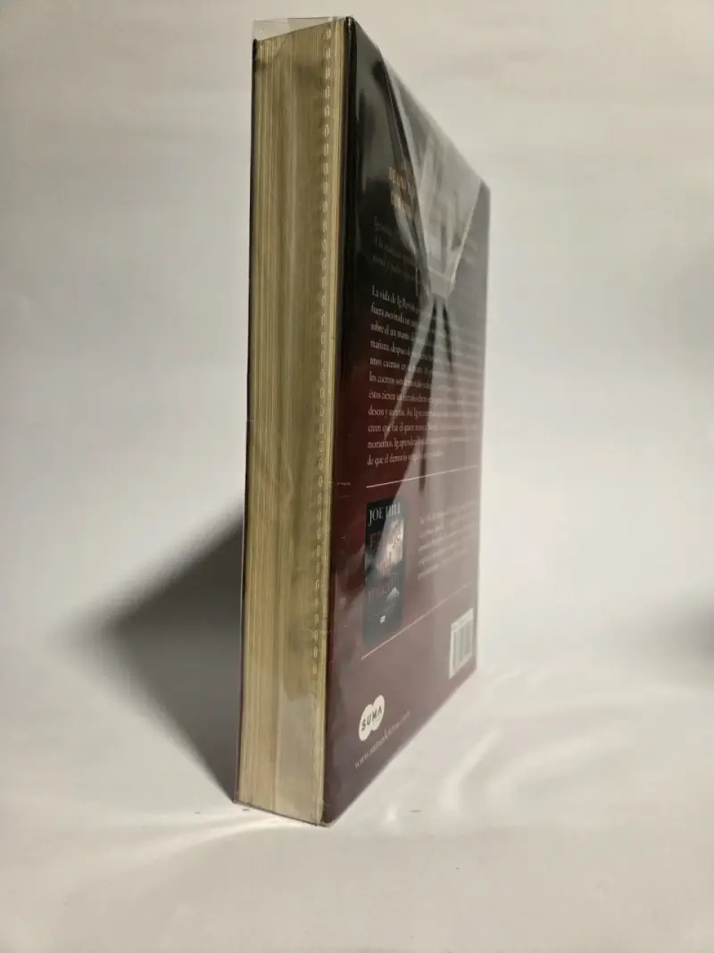 Libro 'Cuernos' de Joe Hill en español - 6