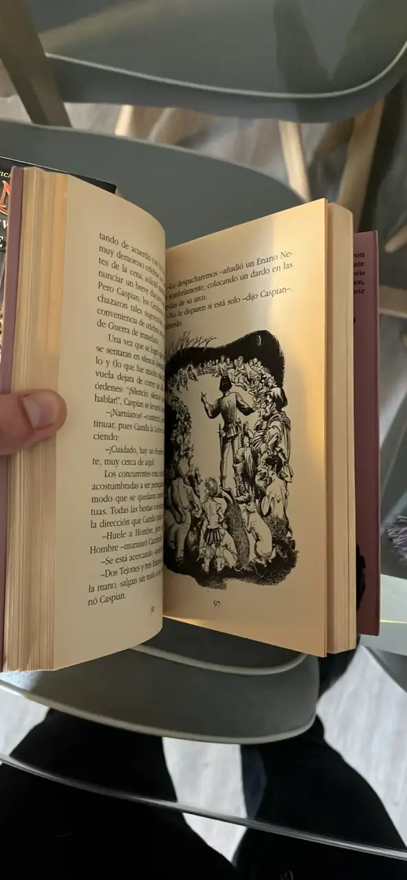 Libros Las Crónicas de Narnia - C.S. Lewis - 3