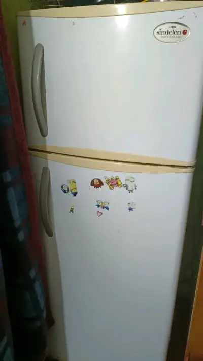 Refrigerador Sindelen Eurofrost 4400 usado - miniatura 1