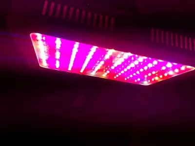 Luz LED de cultivo para plantas - miniatura 1