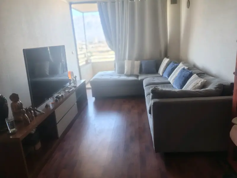 Sofá seccional gris con cojines decorativos - 3