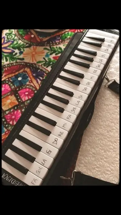 Melódica con notas marcadas y funda - miniatura 1