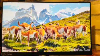 Monitor LED Full HD 23” - miniatura 5