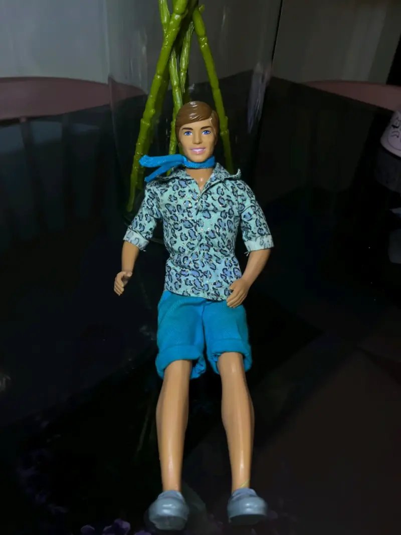 Barbie y Ken original toy story 3 - 6