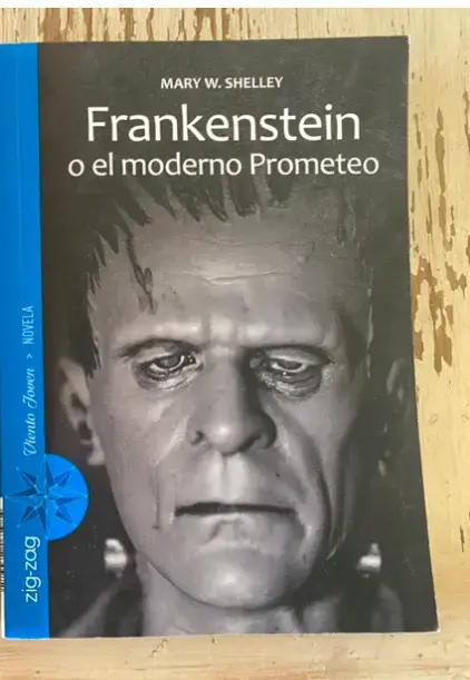 Libro Frankenstein de Mary Shelley
