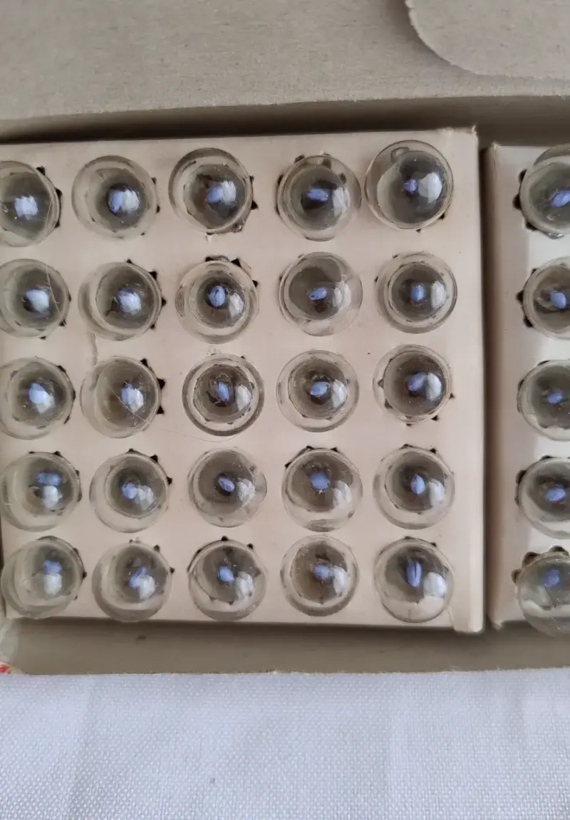 Caja 50 ampolletas Vintage  Swan linterna u otros - 5