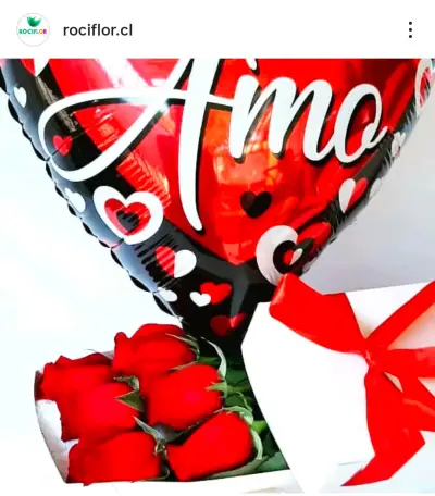 Ramo o caja de 6 rosas naturales - miniatura 2