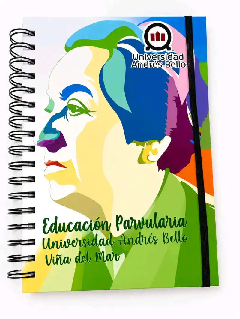 Bases curriculares educación parvularia - 1