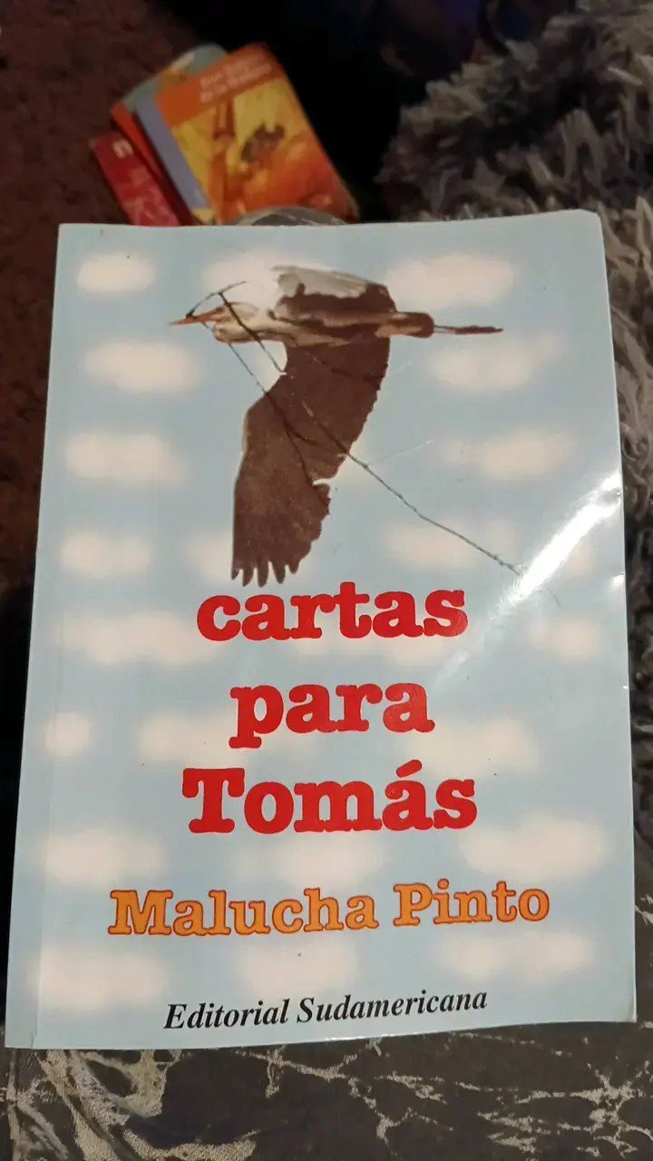 Libro 'Cartas para Tomás' de Malucha Pinto - 1