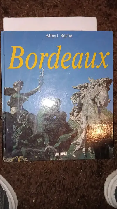 Libro 'Bordeaux' de Albert Rèche - miniatura 1
