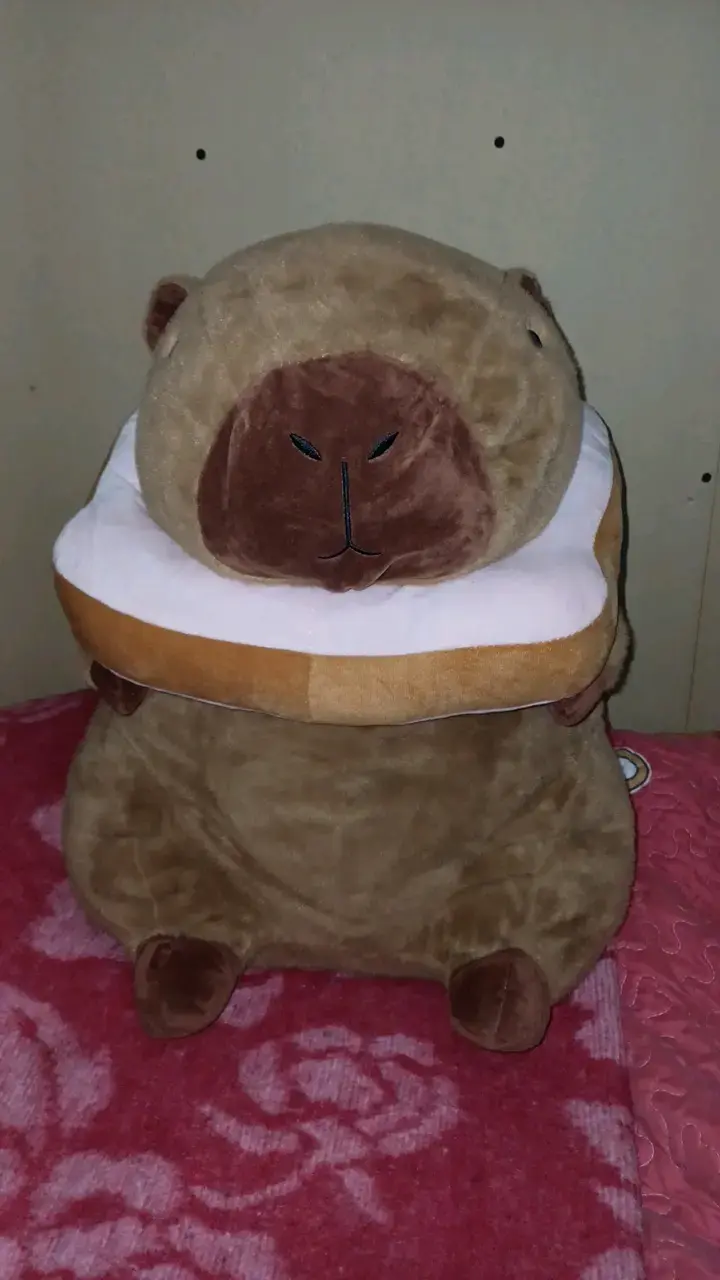 Peluche grande de capibara suave - 1