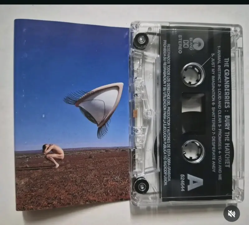 Cassette The Cranberries Bury the Hatchet