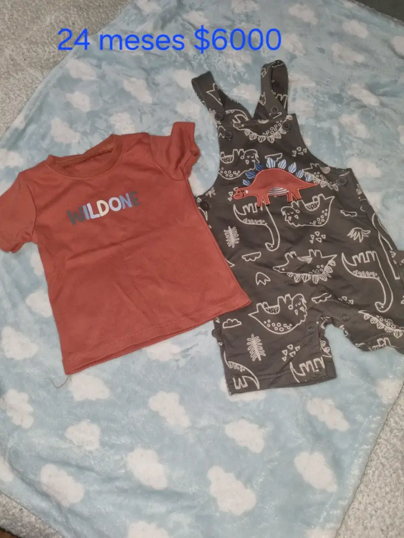 Conjunto infantil dinosaurios 24 meses