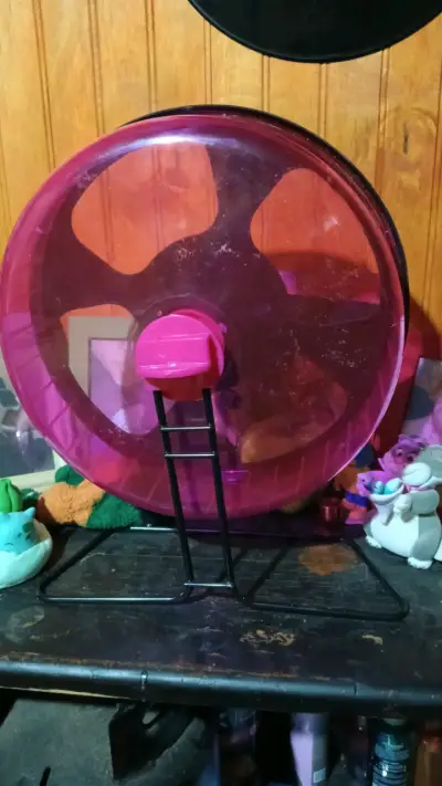 rueda 27 centímetros hámster/rata - miniatura 2