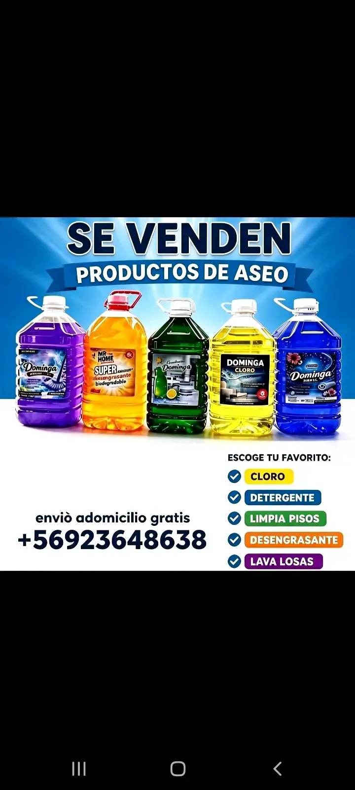 Pack de productos de aseo Dominga