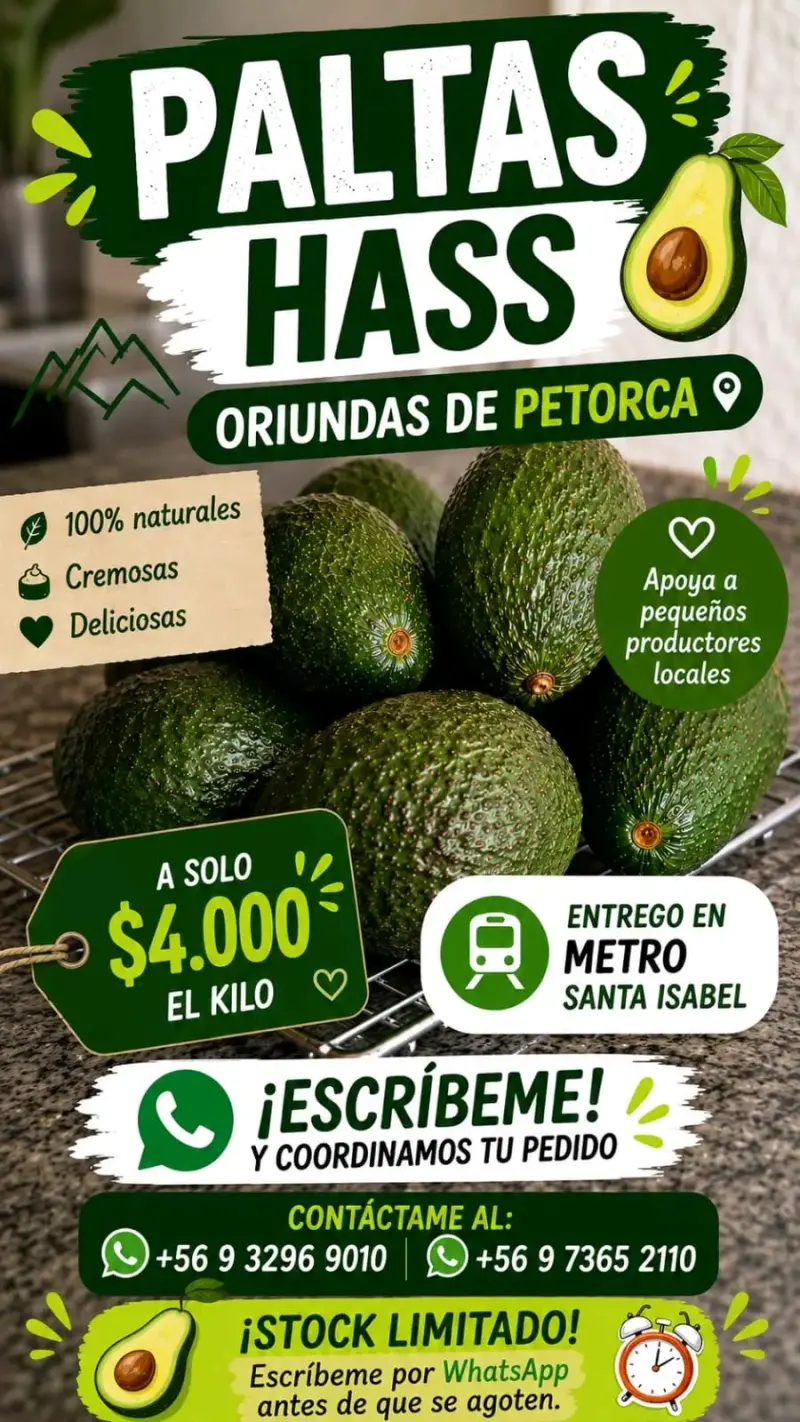 Paltas Hass de Petorca 100% naturales