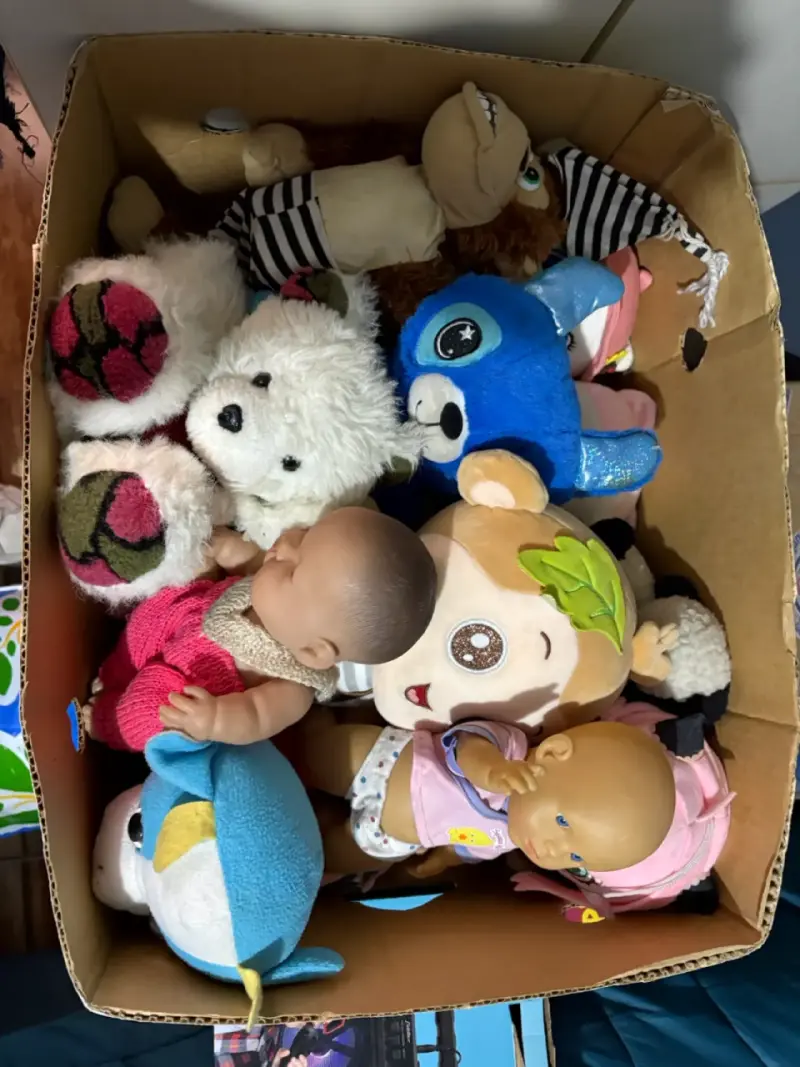 Lote de peluches y muñecas variadas