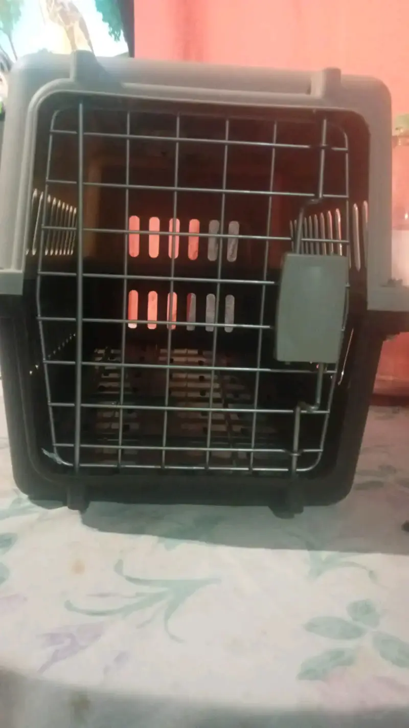 Transportadora de mascotas plástica negra - 3