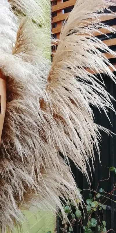 Ramo de pampas naturales decorativas - miniatura 4