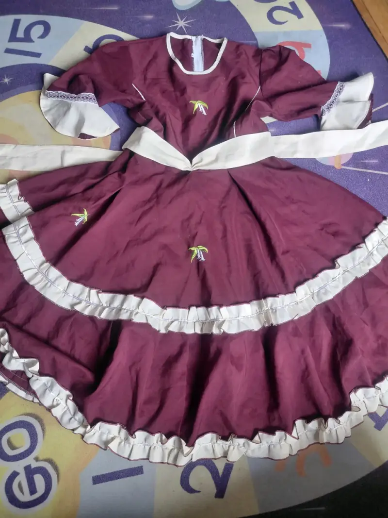 Vestido huasa folclórico chileno bordado - 1