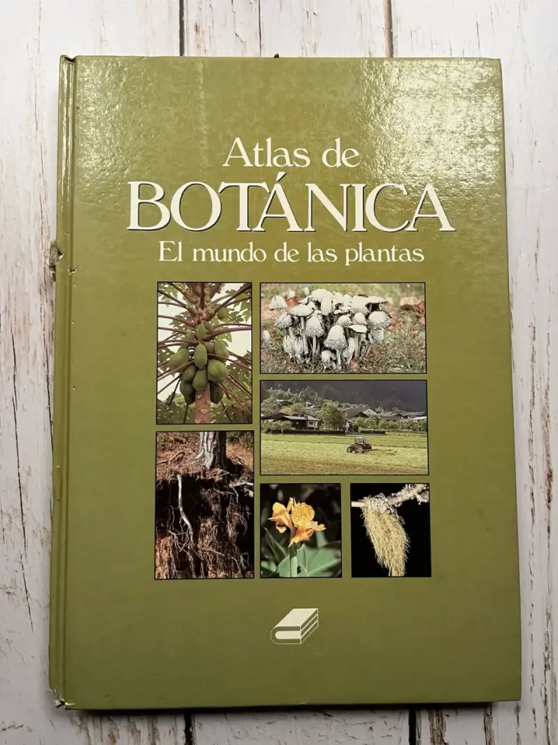 Atlas de Botánica: El mundo de las plantas - 1