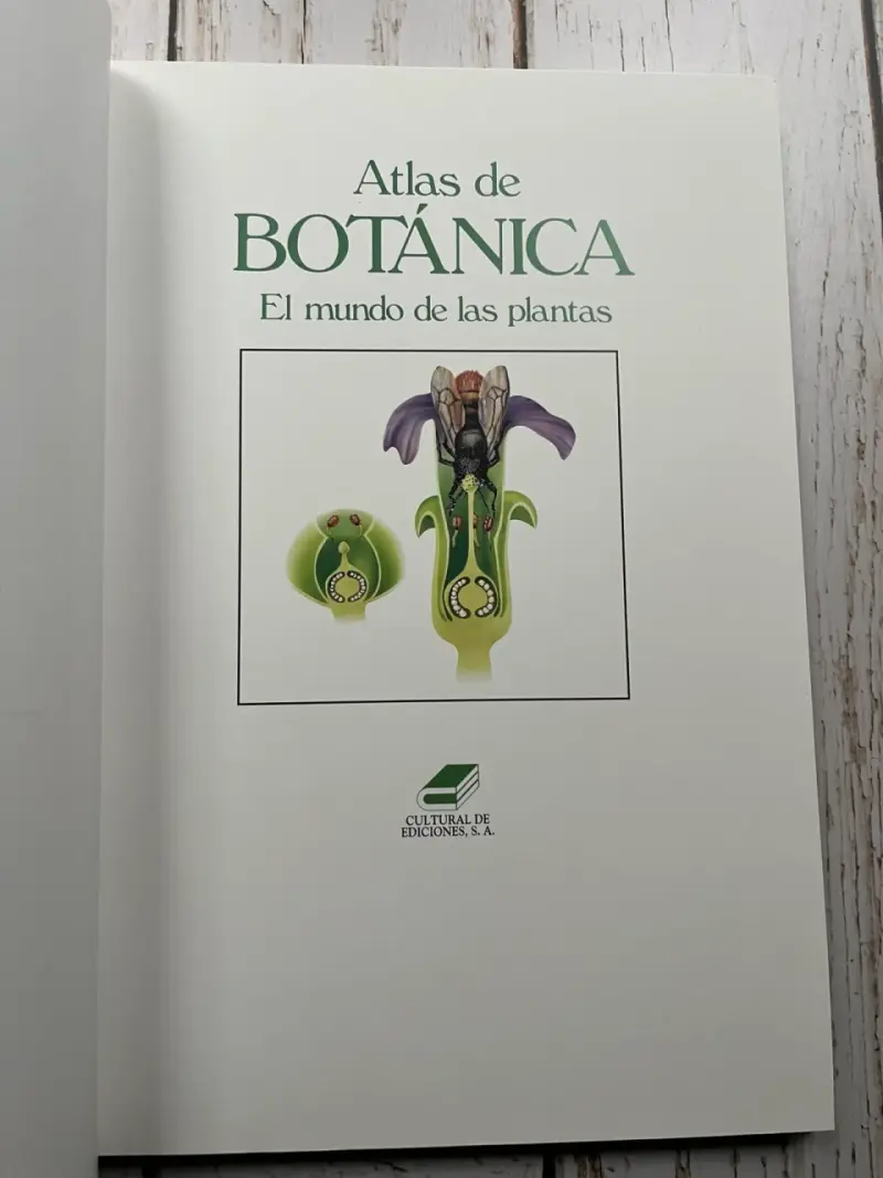 Atlas de Botánica: El mundo de las plantas - 4