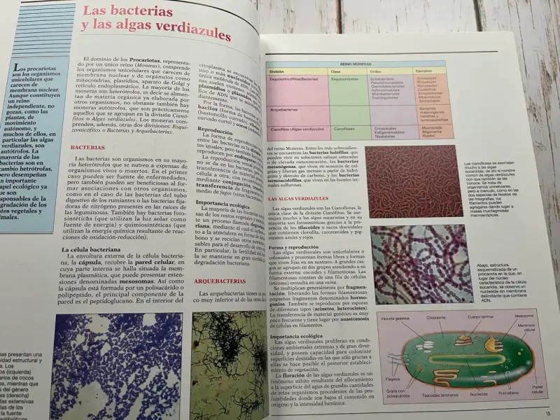 Atlas de Botánica: El mundo de las plantas - 6