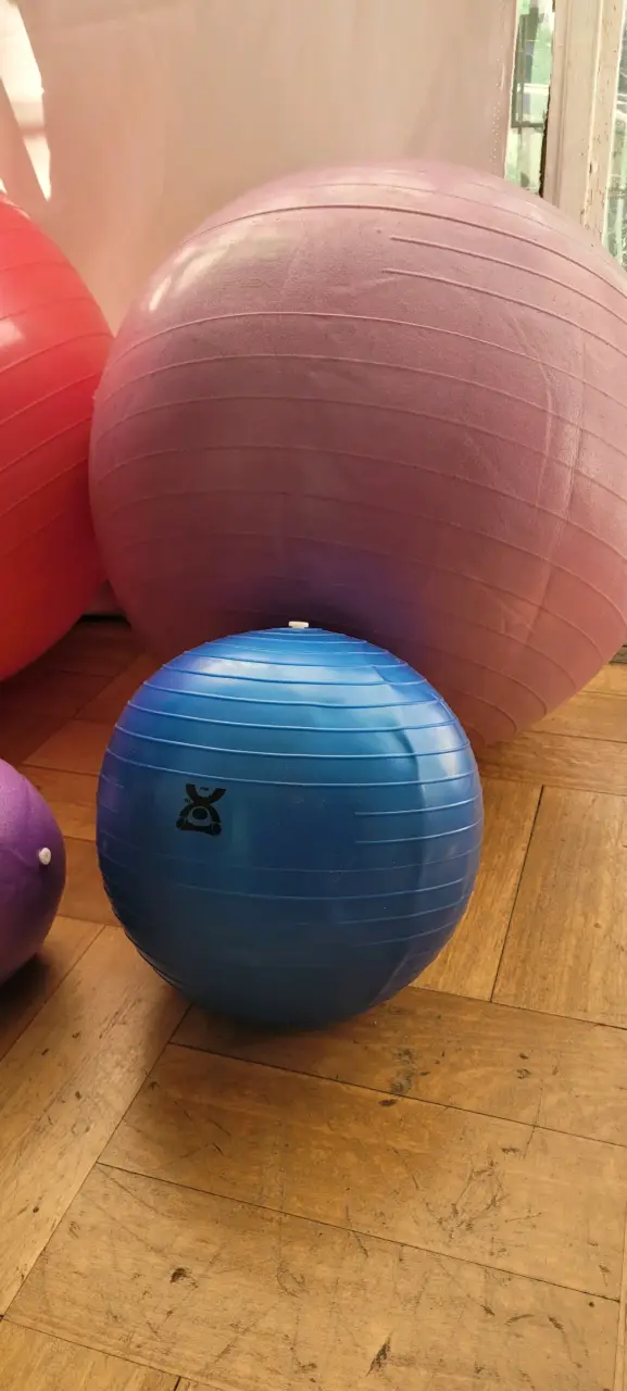 Set de pelotas de ejercicio Body Sculpture - 5