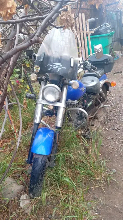 Motocicleta Pro-Biker azul con parabrisas - miniatura 1