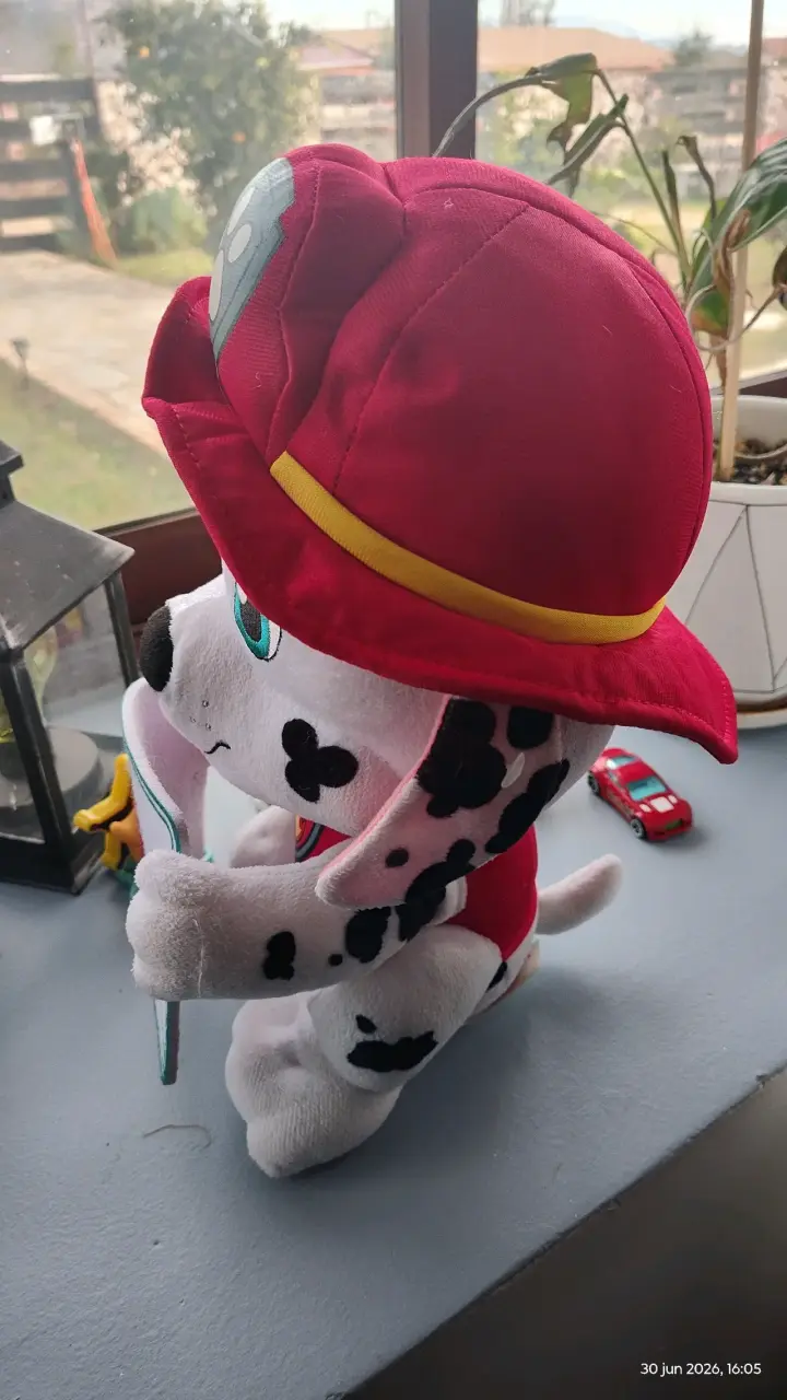 Peluche Paw Patrol - 2