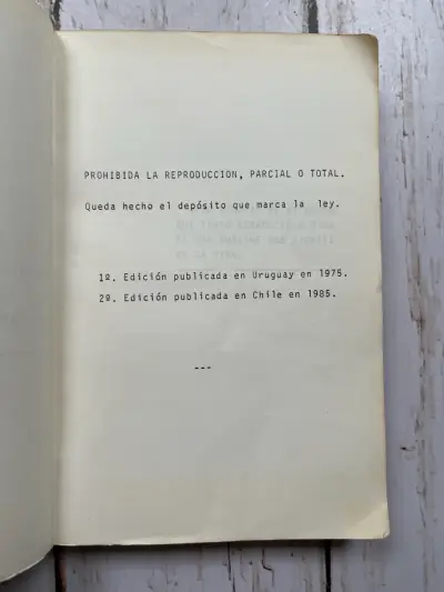 Libro 'La Batalla Silenciosa' de Ilda Luz - miniatura 3